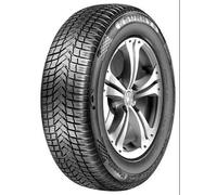 Sunny NC501 195/55 R16 91V PKW Ganzjahresreifen Reifen DACIA: SANDERO 2, Lodgy, Duster SUV, PEUGEOT: 207 SW, 208 I Schrägheck, 207 Schrägheck 9611