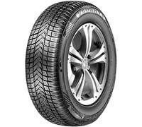 Sunny - Nc501 - 205/45 Zr17 Tl 88w M+s 3pmsf Xl Bsw - Ganzjahresreifen
