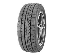 Sunwide SNOWIDE 205/55 R16 91 H