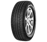 195/70 R15C 104R/102R Bluewin VAN