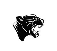 SXQPOCAR Fahrzeugkarosseriedekoration Schwarzer Panther-Kopf-Autoaufkleber, Karosserie, Stoßstange, Fenster, Motorrad, Laptop, Wände, Vinylfolie(Glossy Black Right,20x17cm)