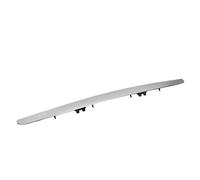 Tbest Heckklappenverkleidung mit Schlüsselloch, Ersatz für R-Klasse W251 V251 2005-2017, Basismodell 2517400593 (Galvanisiert)