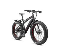 TELEFUNKEN E-Bike Mountainbike Elektrofahrrad Alu, 8 Gang Kettenschaltung - Pedelec Fatbike MTB, Hinterradmotor 250W, Scheibenbremsen, Aufsteiger FM350