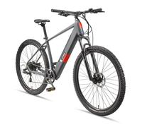 Telefunken M919 MTB E-Bike Herren Mountainbike 29 Zoll Heckmotor 7-Gang Kette