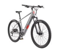 TELEFUNKEN Aufsteiger M921 (aluminiumgrau, 29") grau 29"