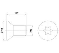 TEXTAR Sicherungsschraube Bremsscheibe 2 Vorne (TPM0010) für Mini Clubman Land