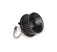 THERMOTEC Gebläsemotor