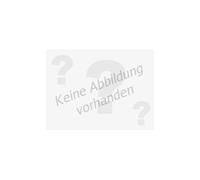 Auffahrrampe für Fahrradträger Thule Epos