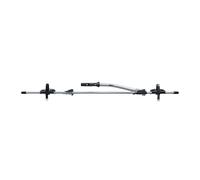 Thule 532 THU Fahrradträger Schwarz, Grau