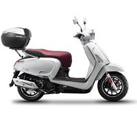 Shad Topcase-Träger für viele Fahrzeugmodelle