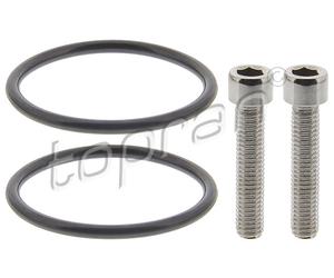 TOPRAN Reparatursatz, Lamellenkupplungspumpe (Allradantrieb) hinten rechts links mit Dichtringen für SKODA VW SEAT CUPRA AUDI PORSCHE VAG 120 165
