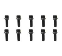 TRACER 10x Radschrauben M14x1,5 Kugelbund R13 40mm | Schlüsselweite 17mm kompatibel mit Cupra Born K1 Tavascan KR Tavascan 4Drive KR Ateca