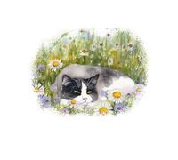 Transparenter 18X18 Lustiger Katzen Autoaufkleber