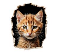 Transparenter 18X18 Lustiger Katzen Autoaufkleber