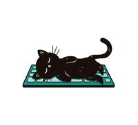 Transparenter 18X18 Lustiger Katzen Autoaufkleber