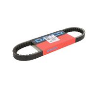 Treibriemen DAYCO DAY8223