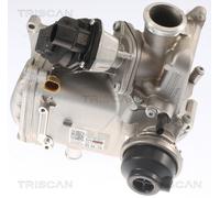 AGR-Ventil Triscan 8813 29013