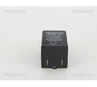 TRISCAN Blinkgeber 1010 EP31