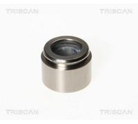 TRISCAN Kolben für Fiat, Opel, Saab, Tesla 8170 234043