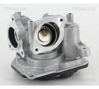 TRISCAN AGR-Ventil 8813 10031