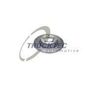 TRUCKTEC AUTOMOTIVE 2x Bremsscheibe hinten voll für VW Golf V 1K1 Touran 1T1