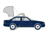 TRUCKTEC AUTOMOTIVE Türdichtung Hinten rechts für MERCEDES-BENZ