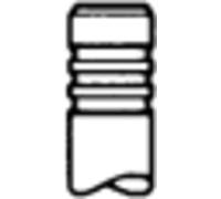 TRW Engine Component Einlassventil FENDT 6,2 3,1 6.226.0.460.005.4 D226-2 D226-3