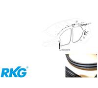 Türkantenschutz vorne links/rechts. B-Klasse W242, W246 A2466920076