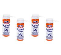 Türschloss Pflege Enteiser Spray LIQUI MOLY 200 ml Enteiserspray Tür Schlösser