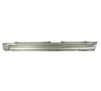 Einstiegblech BLIC 6505-06-0057011K, Links