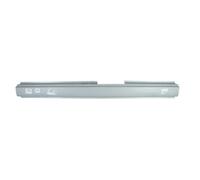 Türschwellen - Einstiegsblech BLIC 6505-06-3203011P Links