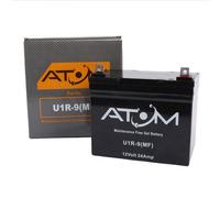 U1R 895 Atom Rasenmäher/Minitraktor/Bausatzauto Gel Batterie 12V 24Ah