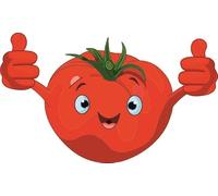 U24 Aufkleber lustige Tomate 45 x 27 cm Autoaufkleber Sticker Konturschnitt