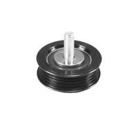 MAGNETI MARELLI Umlenk-/Führungsrolle, Keilriemen Universal Ø10mm 10mm für VAG 331316170066