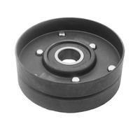 MAGNETI MARELLI Umlenk-/Führungsrolle, Keilriemen Universal Ø17mm 17mm für NISSAN 331316170348