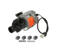 Umwälzpumpe, Standheizung EBERSPÄCHER 25 2354 25 00 00