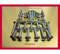 V2A Edelstahlschrauben Verkleidungsschrauben für BMW F 650 GS Dakar Bj.03-07