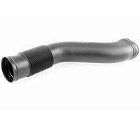 VAICO V30-2975 Ladeluftschlauch