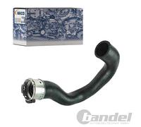 Ladeluftschlauch VAICO V40-1516 Q+, Erstausrüsterqualität für OPEL