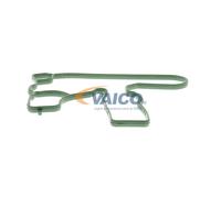 VAICO V10-3884 Dichtung, Kurbelgehäuseentlüftung
