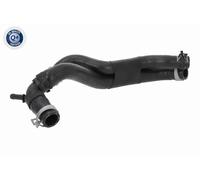 Vaico Kühlerschlauch V10-8996 für VW Multivan