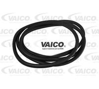 VAICO V95-0204 Dichtung, Frontscheibe