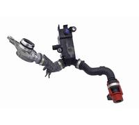 VAICO Ventil, Kurbelgehäuseentlüftung für MERCEDES-BENZ