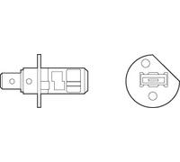 H1 12V 55W Birnen Lichter BlÃƒ¤uliches Licht Xenon Effekt Beleuchtung 10 StÃƒ¼ck