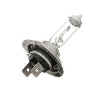 VALEO +50% Light Glühlampe Tagfahrleuchte 032519