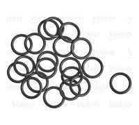 Valeo | Dichtung, Kühlmittelrohrleitung | 509305