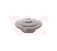 VAN WEZEL 5824399 Federteller für Seat für VW
