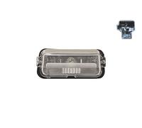 VAN WEZEL Kennzeichenleuchte 5407920 – für TOYOTA, beidseitig
