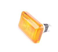 Van Wezel Seitenblinker, komplett 5812914