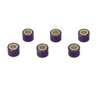 ATHENA S41000030P021 Set 6 Rollen Variator 16X13 GR.9 Atala Byte At 10 50